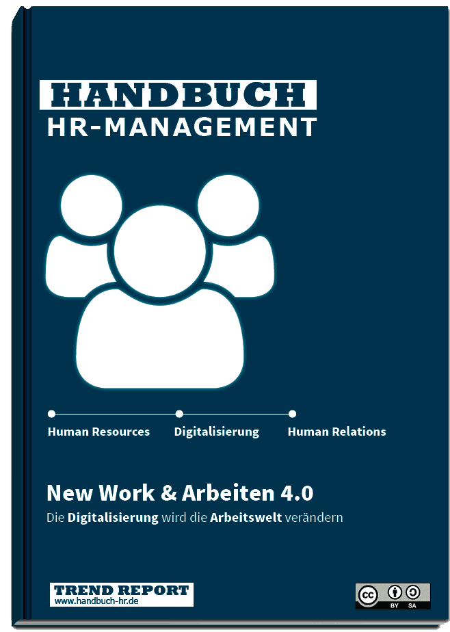 People Analytics Umsetzung - Beitrag im Handbuch HR-Management