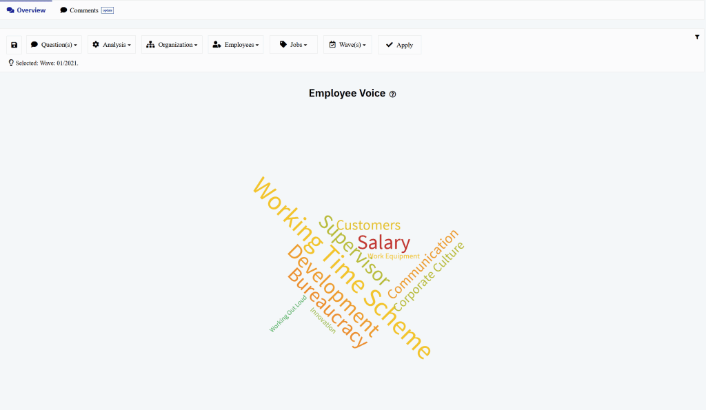 Employee Voice Topic Cloud