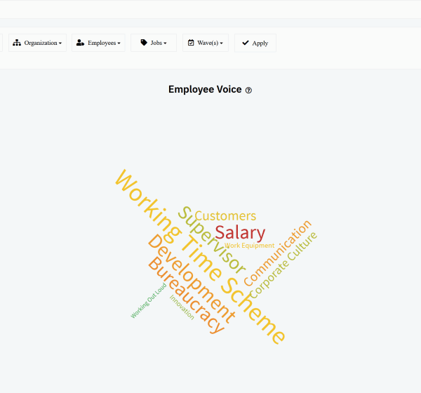 Employee Voice Topic Cloud