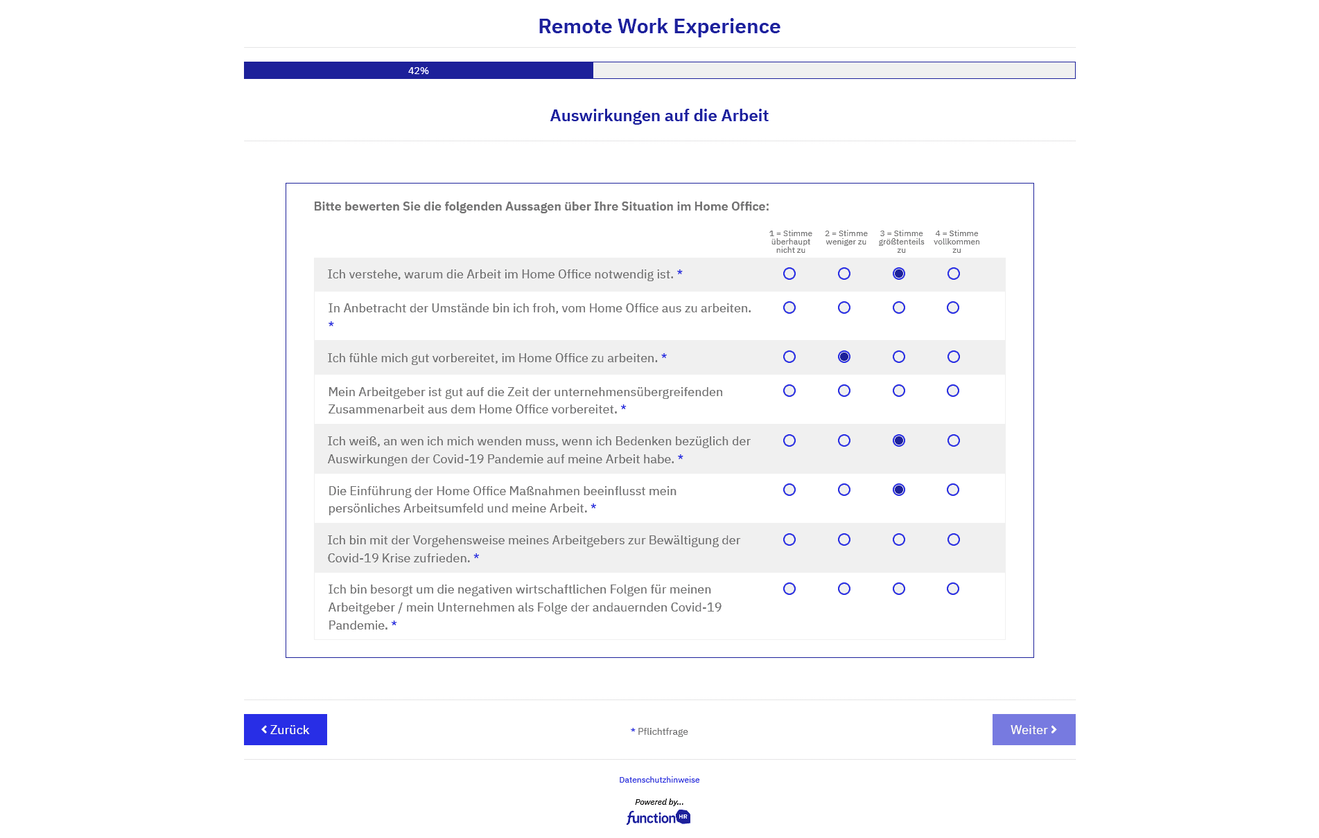 functionHR Screenshot Survey 05 survey page Muster-Fragebogen